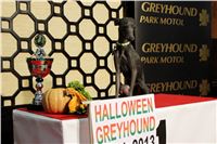 Halloween_Greyhound_Race_2013_Greyhound_Park_Prague_IMG_6959.JPG