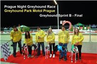 Prague_Night_Greyhound_Race_Greyhound_Park_Motol_CGDF_DSC02089.JPG