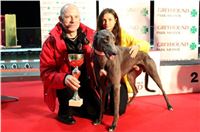 Winner_Prague_Night_Greyhound_Race_Greyhound_Park_Motol_CGDF_IMG_5556.JPG