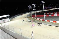 Halloween_Greyhound_Race_2013_Greyhound_Park_Prague_IMG_6789.JPG