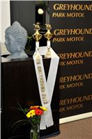 Miss_Greyhound_2013_The_Ultimate_Greyhound_Race_Greyhound_Park_Motol_Prague_2131109_081.jpg