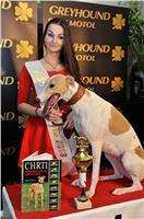 Miss_Greyhound_The_Ultimate_Greyhound_Race_Greyhound_Park_Prague_2131109_185.jpg
