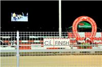 The_ultimate_greyhound_2013_Greyhound_Park_Praha_2131109_114.jpg