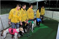 The_ultimate_greyhound_2013_Greyhound_Park_Praha_2131109_145.jpg