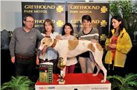 The_ultimate_greyhound_2013_Greyhound_Park_Praha_2131109_162.jpg