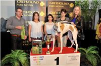 The_ultimate_greyhound_2013_Greyhound_Park_Praha_2131109_168.jpg