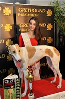 The_ultimate_greyhound_2013_Greyhound_Park_Praha_2131109_183.jpg