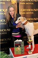Winner_The_Ultimate_Greyhound_Race_2013_Greyhound_Park_Motol_Prague_2131109_174.jpg