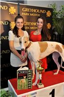 Winner_The_Ultimate_Greyhound_Race_Greyhound_Park_Motol_Prague_2013_2131109_180.jpg