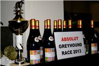 Absolut_Greyhound_Race_Park_Prague_Motol_cgdf_DSC02514.jpg