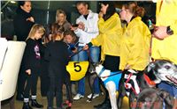 Absolut_Greyhound_Race_Park_Prague_Motol_cgdf_DSC02525.JPG