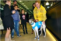 Absolut_Greyhound_Race_Park_Prague_Motol_cgdf_DSC02532.JPG