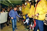 Absolut_Greyhound_Race_Park_Prague_Motol_cgdf_DSC02546.JPG