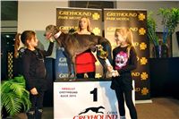 Absolut_Greyhound_Race_Park_Prague_Motol_cgdf_DSC02567.jpg