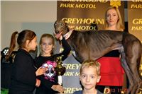 Absolut_Greyhound_Race_Park_Prague_Motol_cgdf_DSC02587.JPG