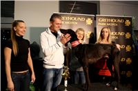 Absolut_Greyhound_Race_Park_Prague_Motol_cgdf_IMG_7787.JPG