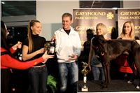 Absolut_Greyhound_Race_Park_Prague_Motol_cgdf_IMG_7788.JPG