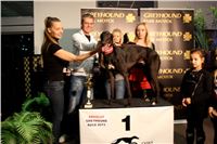 Absolut_Greyhound_Race_Park_Prague_Motol_cgdf_IMG_7792.JPG