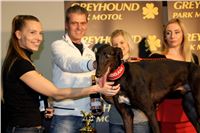 Absolut_Greyhound_Race_Park_Prague_Motol_cgdf_IMG_7793.JPG