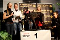 Absolut_Greyhound_Race_Park_Prague_Motol_cgdf_IMG_7794.JPG