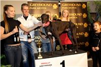 Absolut_Greyhound_Race_Park_Prague_Motol_cgdf_IMG_7795.JPG