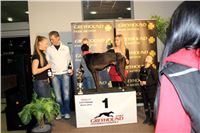 Absolut_Greyhound_Race_Park_Prague_Motol_cgdf_IMG_7797.JPG