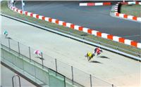 Absolut_Greyhound_Race_Park_Prague_Motol_cgdf_IMG_7818.JPG