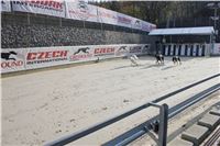 Greyhound_Park_Motol_Praha_CGDF_IMG_7392.JPG