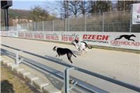 Greyhound_Park_Motol_Praha_CGDF_IMG_7425.JPG