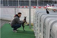 Greyhound_Park_Motol_Praha_CGDF_IMG_7462.JPG