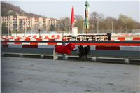 Greyhound_Park_Motol_Praha_CGDF_IMG_7463.JPG