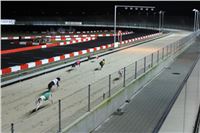 Race_Track_Slovak_Intercargo_Cup_Greyhound_Park_Motol_Prague_CGDF_6.jpg