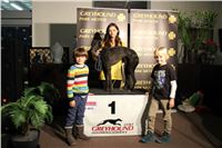 Slovak_Intercargo_Cup_Greyhound_Park_Motol_Prague_CGDF_10.JPG