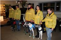 Slovak_Intercargo_Cup_Greyhound_Park_Motol_Prague_CGDF_13.JPG