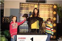 Slovak_Intercargo_Cup_Greyhound_Park_Motol_Prague_CGDF_144.JPG