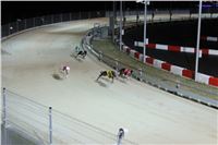 Slovak_Intercargo_Cup_Greyhound_Park_Motol_Prague_CGDF_18.jpg