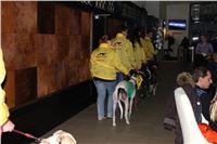 Slovak_Intercargo_Cup_Greyhound_Park_Motol_Prague_CGDF_34.JPG