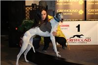 Slovak_Intercargo_Cup_Greyhound_Park_Motol_Prague_CGDF_IMG_7924 (147).JPG