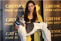 Slovak_Intercargo_Cup_Greyhound_Park_Motol_Prague_CGDF_IMG_7924 (156).JPG