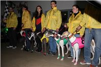 Slovak_Intercargo_Cup_Greyhound_Park_Motol_Prague_CGDF_IMG_7924 (83).JPG