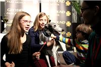 Slovak_Intercargo_Cup_Greyhound_Park_Motol_Prague_CGDF_IMG_8311.JPG