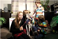 Slovak_Intercargo_Cup_Greyhound_Park_Motol_Prague_CGDF_IMG_8327.JPG