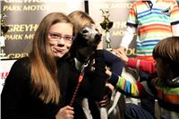 Slovak_Intercargo_Cup_Greyhound_Park_Motol_Prague_CGDF_IMG_8329.JPG