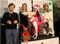 Mikulas_Greyhound_Race_Greyhound_Park_Prague_CGDF_IMG_8809_v.jpg