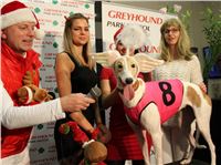 Mikulas_Greyhound_Race_Greyhound_Park_Prague_CGDF_IMG_8837_v.jpg
