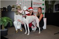 mikulas_greyhound_race_greyhound_park_prague_cgdf_IMG_8714.JPG