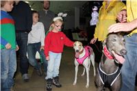 mikulas_greyhound_race_greyhound_park_prague_cgdf_IMG_8774.JPG