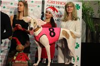 mikulas_greyhound_race_greyhound_park_prague_cgdf_IMG_8826.JPG