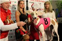 mikulas_greyhound_race_greyhound_park_prague_cgdf_IMG_8837.JPG