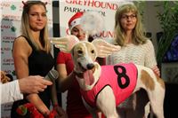 mikulas_greyhound_race_greyhound_park_prague_cgdf_IMG_8838.JPG